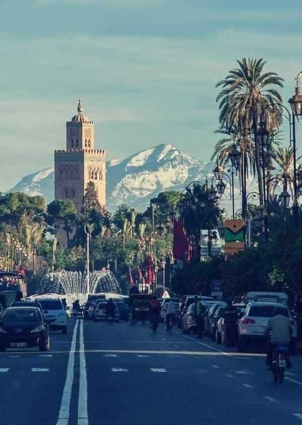 Authentic Moroccan Charm Apartment In Marrakech Terrace Марракеш Экстерьер фото