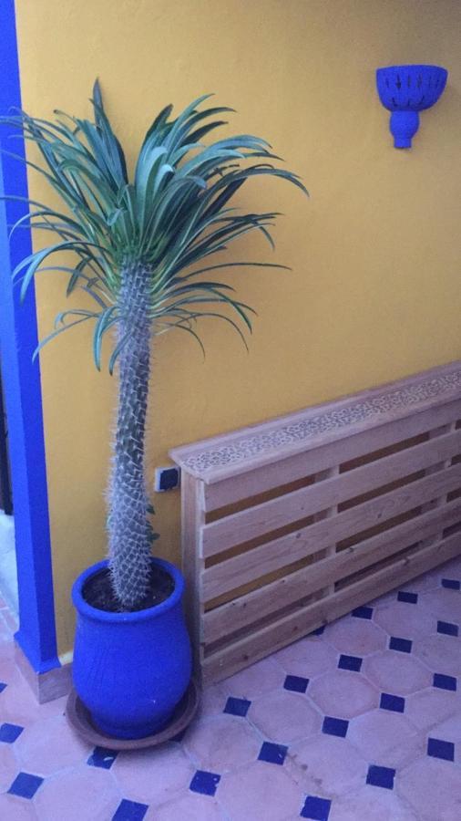 Authentic Moroccan Charm Apartment In Marrakech Terrace Марракеш Экстерьер фото